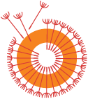 Mayday Network