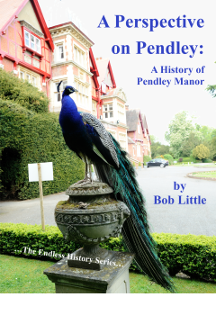 Cover of A Perspective on Pendley